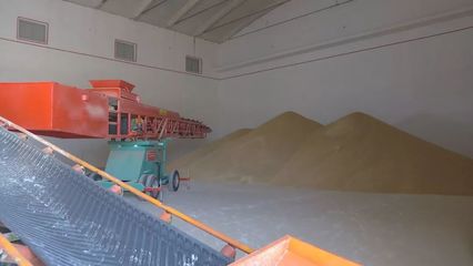 洋浦國(guó)際糧油物流加工產(chǎn)業(yè)園加快建設(shè)，賦能糧食加工產(chǎn)業(yè)升級(jí)