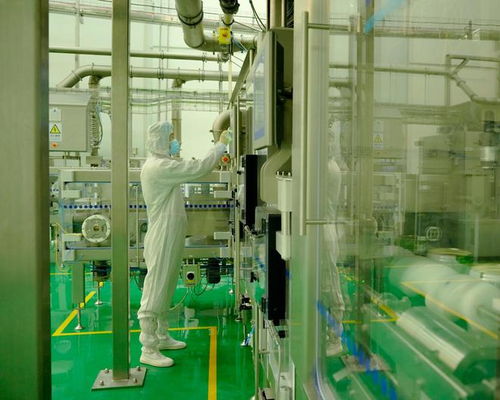 全球最嚴(yán)監(jiān)管之下，飛鶴以“計(jì)算機(jī)系統(tǒng)服務(wù)”引領(lǐng)國產(chǎn)奶粉品質(zhì)向上